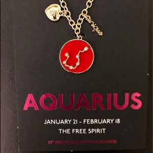 NWT Zodiac necklace: Aquarius